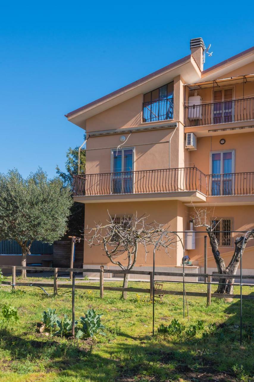 Travelershome Ciampino&Morena Guesthouse 罗马 外观 照片